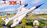 Модель літака NM-1