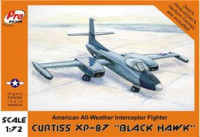 Curtiss XP-87 BLACK HAWK (resin) 