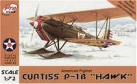 Curtiss P-1B 'HAWK' USAF fighter (resin) 