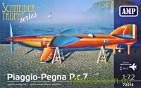 Гидросамолет Piaggio-Pegna P.c.7