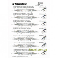 Authentic Decals 14407 Декаль для бомбардировщика Ту-160 Black Jack