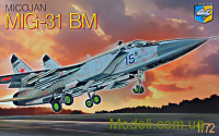 Cоветский перехватчик МиГ-31 БМ
