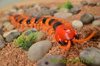 LE YU TOYS LY-9901A Радиоуправляемая модель Сколопендра на инфракрасном управлении Scolopendra (коричневый)