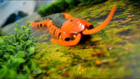 LE YU TOYS LY-9901B Радиоуправляемая модель Сколопендра на инфракрасном управлении Scolopendra (черный)