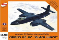 Curtiss XF-87 BLACK HAWK (resin)