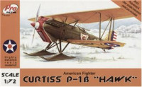 Curtiss P-1B 'HAWK' USAF fighter (resin)