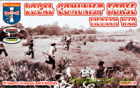 Локальные коммунистические формирования. (Война во Вьетнаме)