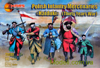Польські піхотні найманці (Тридцятирічна війна)