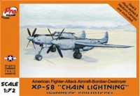 XP-58 USAF fighter-bomber, gunnery 